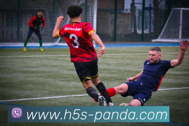 熊猫体育平台品牌故事