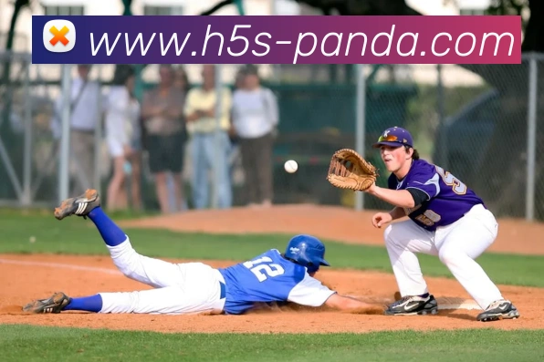 熊猫体育平台服务体系